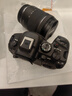 佳能（Canon）EOS R6 Mark II R6二代 新标准全画幅微单相机R62 24-105 STM标准镜头套装 实拍图