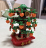乐高（LEGO）40648 金钱树 新春系列男女孩积木玩具粉丝圣诞节礼物 实拍图
