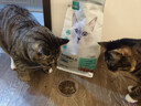 网易严选全价猫粮宠物主粮成幼猫三文鱼 深海鱼虾味1.8kg 【宠物金选】 实拍图