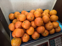 京鲜生 广西砂糖橘 净重4.5斤 单果35-45mm  年货水果 源头直发包邮 实拍图