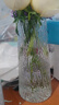 吕姆克花瓶玻璃花瓶摆件工艺品插花仿真干花富贵竹水养花瓶中号透明5043 实拍图