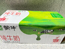 蒙牛全脂纯牛奶200ml*24盒 家庭年货礼盒 电商定制 实拍图