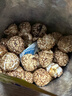高乐高爆米花焦糖可可味55g 出游解馋儿童休闲小吃零食 实拍图