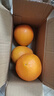 【新鲜上市】湖北秭归纽荷尔脐橙热卖核心产区产地直发 带箱1斤60mm 实拍图