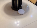石头（roborock）扫地机器人扫拖一体 P20 Ultra 扫拖洗烘一体机热水洗拖布擦地拖地洗地机P20极光增强【升级版】 实拍图