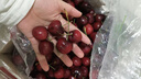 京鲜生 智利进口车厘子3J级 5斤装 果径约30-32mm 新鲜水果年货礼盒 实拍图