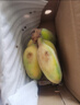 京喜加正宗苹果蕉广西香蕉自然熟新鲜水果奶蕉粉蕉小米芭蕉鹏贸 净重1斤 实拍图