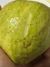 京鲜生广西白心芭乐 净重3斤 单果150g起 番石榴 新鲜水果源头直发包邮 实拍图