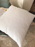 沙发抱枕芯靠枕芯十字绣靠垫芯子靠背方枕芯靠垫靠背抱枕靠垫 白色无边 含枕芯 60*60cm[850g] 实拍图