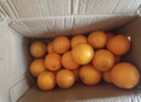 天乐优选麻阳冰糖橙新鲜橙子水果当季整箱果冻甜橙手剥橙子爆汁应季时令 净重9斤单果65-70mm 实拍图