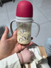 贝亲（Pigeon）PPSU双把手防胀气奶瓶240ml 猫头鹰 L号奶嘴 6月+ AA221 实拍图
