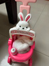 皇恩电动毛绒小兔子玩偶会动会叫宠物推车过家家儿童玩具女孩新年礼物 实拍图