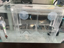 派乐特 鱼缸孵化盒隔离盒孔雀鱼繁殖盒斗鱼亚克力 实拍图