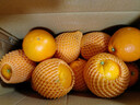 京觅秭归纽荷尔脐橙9斤单果150g+商超同款好货 甜橙子新鲜源头直发 实拍图
