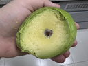 京鲜生云南哈斯牛油果中果8粒装 单果100g-130g 生鲜水果 源头直发包邮 实拍图