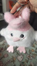武汉文创蒜鸟发声玩偶纪念品鄂人和平鸟钥匙扣毛绒玩具公仔挂件 【限定】粉色樱花蒜鸟【1个装】 武汉蒜鸟背包挂件桌面摆件 实拍图