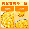 十月稻田 五常香糯玉米粒 2斤(大粒 大碴粥 脱皮玉米粒 杂粮) 早餐 实拍图
