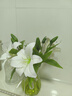 爱已装糖仿真花多头百合ins风手感绢花客厅装饰假花花束摆件花瓶插花 实拍图