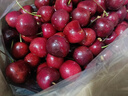 京溢鲜智利进口车厘子【JD/顺丰-多地次日达】4J级新鲜樱桃水果送礼物盒 5斤(净重) 【送礼装】店长推荐 特大果2J级 单果28-30mm 实拍图