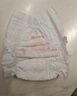 好奇（Huggies）铂金装小桃裤成长裤XL96片(12-17kg)加大号尿不湿【透爽散热】 实拍图