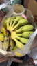 京喜加正宗苹果蕉广西香蕉自然熟新鲜水果奶蕉粉蕉小米芭蕉鹏贸 带箱2斤 实拍图