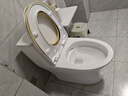 九牧（JOMOO）11396-2-1/41KB-1抗菌一级水效坐便器虹吸式节水连体马桶400坑距 实拍图