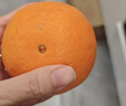 京觅江西赣南脐橙 9斤净重橙子单果180g起年货礼盒纽荷尔水果源头直发 实拍图