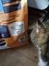 素力高（SolidGold）进口高蛋白金装金素鸡长肉营养成猫全价猫粮15磅/6.8kg 实拍图