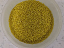 粮小兵米脂黄小米杂粮油糯新米小黄米陕北陕西特产农家吃的小米粥山西 布袋黄小米2.5kg 实拍图