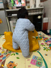 乐林源幼儿园摇摇马儿童摇摇木马周岁礼物骑骑马摇马婴幼儿宝宝户外玩具 黄色小马 实拍图