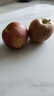 2025年现摘现发甘肃天水花牛苹果新鲜红蛇果粉面生鲜脆甜多汁A14 带箱9斤  果径75mm以上 实拍图