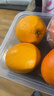 京觅四川春见耙耙柑粑粑柑年货水果净重4.5斤单果160g+源头直发包邮 实拍图