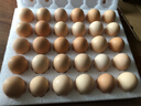 京鲜生富硒鲜鸡蛋30枚 3斤 源头直发 实拍图