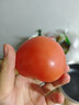 新鲜沙瓤大番茄生吃西红柿减肥早餐即食新鲜蔬菜生鲜单果＞100g 畅销装 2斤 带箱 实拍图