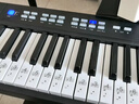 贝琪（Betsy）B170电子琴88键成人初学者宿舍便携折叠电钢琴新手入门电子钢琴 B170【标准款】黑色+一年教学 套餐一：标配 实拍图