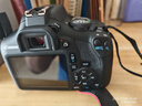 佳能（Canon）EOS 2000D+18-55mm III 套机 单反相机 高清性价比优选 初学者学生单反入门 微单 实拍图