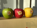 京鲜生山东三色苹果礼盒装 净重4.2斤 单果200g起 源头直发包邮 实拍图