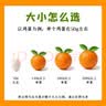 赣南脐橙 正宗赣南脐橙 江西赣州橙子手剥橙新鲜水果礼盒当季现摘时令生鲜 【90%回购】蕞划算-家庭礼盒装 10斤优选单果150-220g净重9斤+ 实拍图