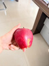于小乖甘肃天水花牛粉面苹果婴儿刮泥老人孕妇粉糯红蛇苹果(需放粉) 带箱5斤大果（净重4.5斤） 实拍图