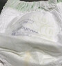 babycare金山茶花拉拉裤XXXXL26片(＞19kg)婴儿尿不湿超薄透气轻柔花苞裤 实拍图
