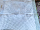 十月结晶婴儿隔尿垫宝宝一次性隔尿垫护理垫一次性床单 铂金装M100片【33*45cm】 实拍图