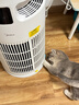 美的（Midea）家用宠物空气净化器 吸猫毛除过敏源猫猫搭子猫毛净化器杀菌消毒除猫狗异味小怪兽PET500 实拍图