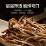 金唐茶树菇250g/袋 未开伞茶树蘑菇山珍菌菇干货 火锅煲汤年货食材 实拍图