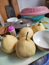 正宗河北鸭梨大果新鲜10斤脆甜梨子水果当季整箱包邮5斤赵县雪梨 特级鸭梨净重9斤 实拍图