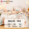 洁丽雅四件套 A类3A抗菌面料全棉亲肤 100%纯棉AB版 1.5/1.8M床 清雅 实拍图
