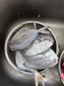 鲜到鲜得 冷冻东海银鲳鱼800g/8条装 平鱼 生鲜鱼类 海鲜水产 年货 实拍图