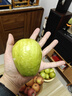 京觅福建奶油芭乐 番石榴 单果150g起 净重4.5斤装 源头直发包邮 实拍图