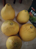 柚满园【纯甜不酸】梅州沙田柚子南福金柚正宗甜碌柚新鲜水果广东梅县 特大果6个带箱19-20斤 实拍图
