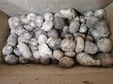 【真便宜】正宗新鲜牛奶芋头蔬菜芋艿香甜粉糯早餐代餐辅食 9斤含箱 现挖小芋头（小果） 实拍图