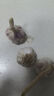 京鲜生山东金乡大蒜带皮新鲜干蒜 净重带箱2斤单果6.0+cm 源头直发包邮 实拍图